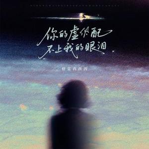 你的虚伪配不上我的眼泪 (DJ黄周豪版)1.2x版