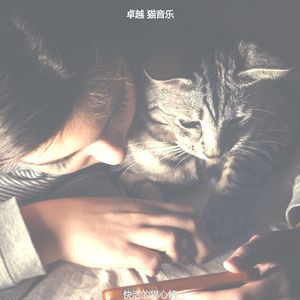 精彩小猫环境