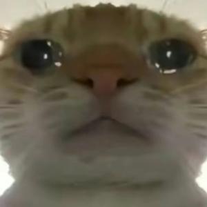 Penny-打火机 (哈基米南北绿豆)-Xyvra（Jovin remix）