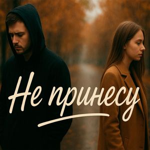 Не принесу