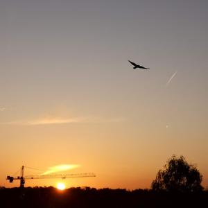 Sonne Mond Und Sterne