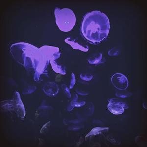 Switching Lanes (feat. KnowBrando)