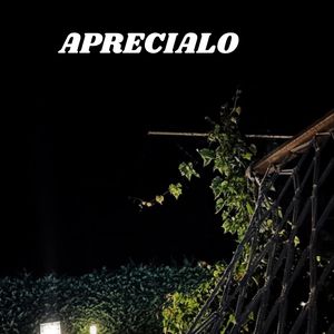 Aprecialo