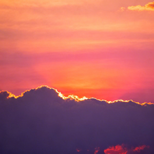 尘缘尽・向阳行