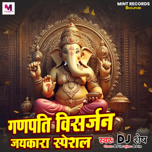 Ganpati Visarjan Jaikara Daylog