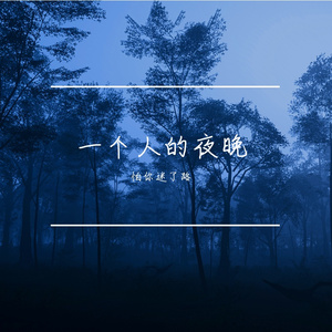 一个人的夜晚 伴奏