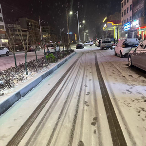 我期待的不是雪