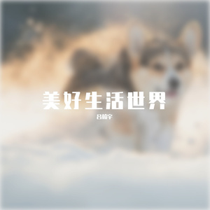 美好生活世界