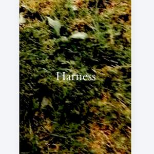 Harness