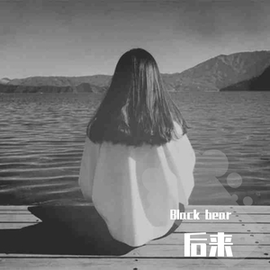 刘若英-黑熊后来（Black bear remix）