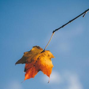 轻松愉悦的儿童游戏音乐