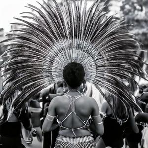 Life Samba Carnival