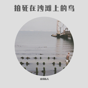 拍死在沙滩上的鸟