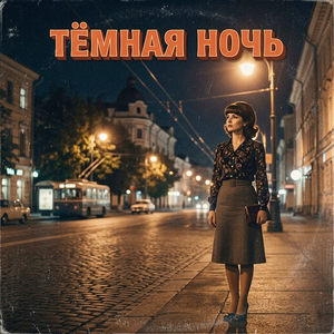 Тёмная ночь