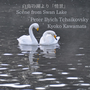 白鳥の湖より「情景」