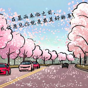 在暴雨来临之前