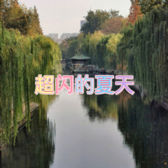 隐形者 (热火斯卡版)