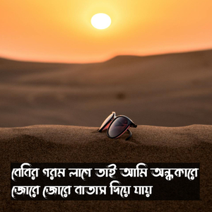 Babyr Gorom Lage Tai Ami Ondhokare Jore Jore Batash Diye Jai