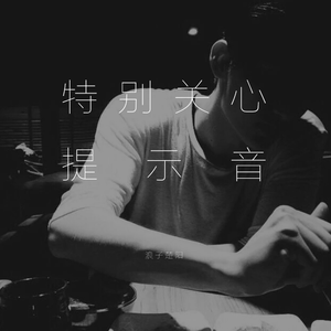 庄心妍-特别关心提示音（浪子楚阳 remix）