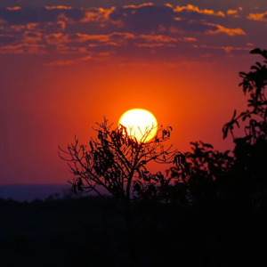 Tranquility's Embrace