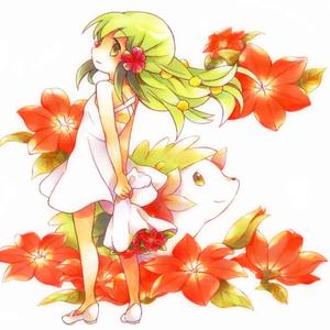 shaymin