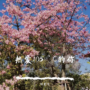 热爱105°C的你