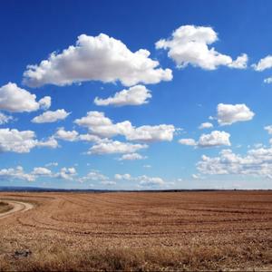 我独行在天地间（不问来时路）
