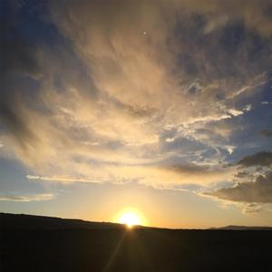 相思树下的约定