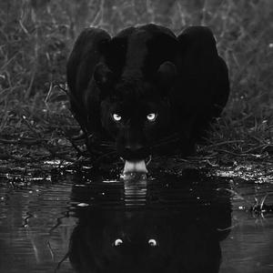 W&W-他哭了-你告诉我什么是爱情？（DJMlOn Bootleg）（MlOn remix）