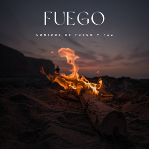 Sonidos De Fuego Calmo