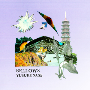 Bellows