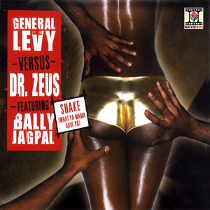 Shake (What Ya Mama Gave Ya) - The B21 Mix