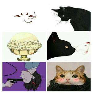 582（prod by Red killer）