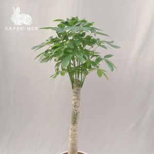 《舒缓弦乐与钢琴铺就的电影故事08