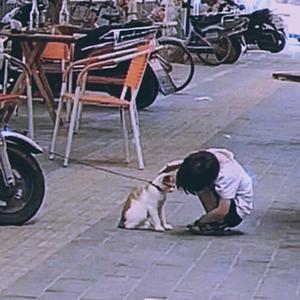 没人要的猫和小孩
