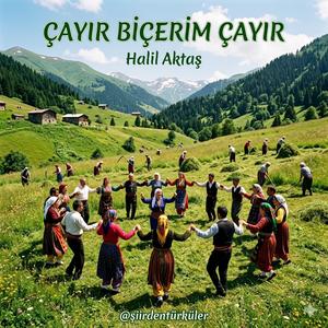 ÇAYIR BİÇERİM ÇAYIR