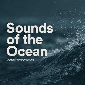 Open Ocean at Night