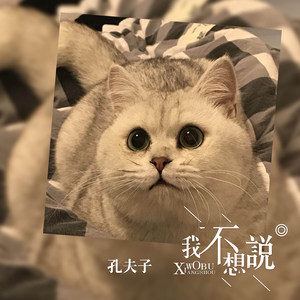 我不想说
