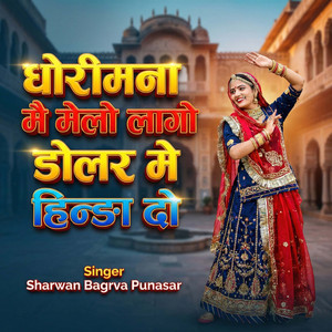 Dhorimana Me Mailo Lago Dolar Me Hinda Do