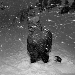 Polar (feat. RHINOO!)