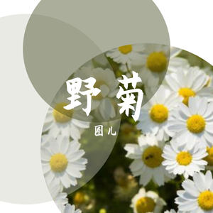《野菊》