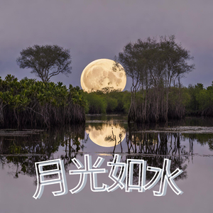 月光如水