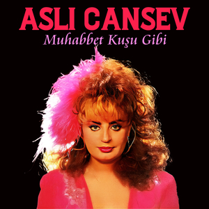 Vallahi Sen Sevdalısın