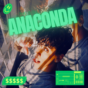 Anaconda (Remix)