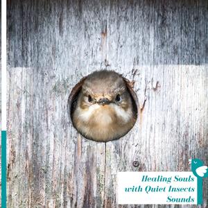 Songs of Insects Humming