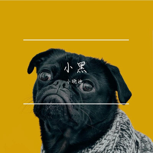 小黑