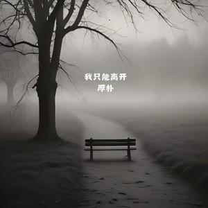 我只能离开