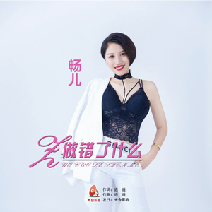 做错了什么(DJ伴奏版)