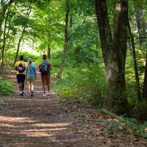 जब से है देखा तुमको हमने, चाहत ये मेरी बढ़ने लगी है।