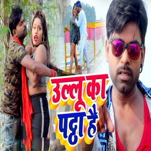Ullu Ka Pattha Hai